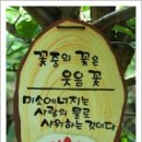 따뜻한 말 한 마디 이미지