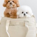 도곡2리경로당 이미지