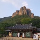 청송군체육관 이미지