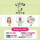 도그드살롱 네이버블로그