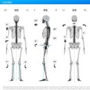 더루케테호텔 | [광화문 필라테스 추천] 필라테스 온 루케테80 덕수궁디팰리스점, 체형분석 | 기구필라테스 | 사우나...