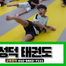 성덕태권도 이미지