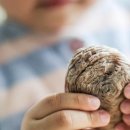 토란이랑기차랑 이미지