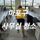 돌핀크린 이미지
