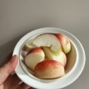 태경농장 | 농라,농라에프) 태경농장