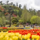 순천만국가정원 이미지