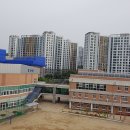 중앙탑중학교 앞 이미지