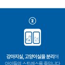 동물보육원