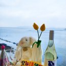 가조도풀빌라&amp;스파펜션 | 거제 가조도 펜션 라모타 풀빌라 내돈내산 솔직후기