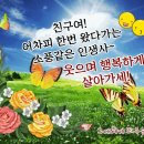 신수도 대구동 이미지