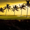 KM 당구클럽 | 하와이 호텔 추천_04_힐튼 와이콜로아 빌리지 호텔 (Hilton Waikoloa Village Hotel)