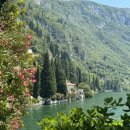 꼬모의 산책 이미지