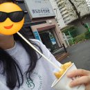 [순천]치즈도너츠 찐 맛집 노랑고래조례점 다녀온 생생 후기