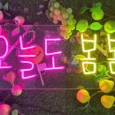 동일사인 이미지