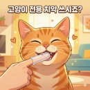 지원덴탈(G1 DENTAL) | 고양이 양치 전쟁? 강아지 겸용 치약 쓰다가 이걸로 정착한 이유: 캣디피 고양이 전용 칫솔 치약