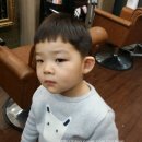 [진주회초밥맛집 / 신안동 어전 회초밥]