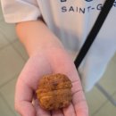 호두파야 이미지