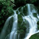 꿈꾸는 언덕 이미지