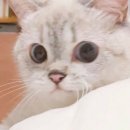 더가까운PC방 이미지