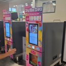 위드미 트레이더스 하남점 | 이마트 트레이더스 2900원 과일 스무디, 수박 스무디 후기