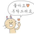 비비큐치킨카페 - 남양주시 금곡로 42 | 비비큐치킨카페