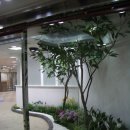 서경백화점 이미지