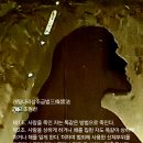 삼조