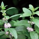 두드림생태학습관 이미지