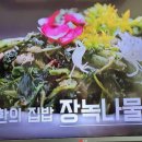 알토란 오호환 자리공새순 장녹나물 이미지