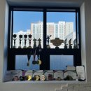 VKNY Gym(비키니짐) | 전주 효천지구 PT 버터플라이짐 | 삼천변 러닝까지 가능한 24시 헬스장