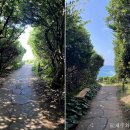 큰엉(남원관광지구) 이미지