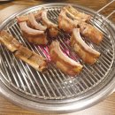 머시기쪽갈비 티스토리