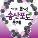 송산포도