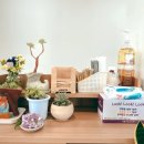 옥명꽃마을협동조합 이미지