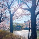 중리천로113번길 이미지