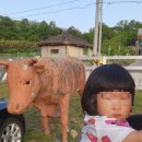 내고향한우장터 이미지