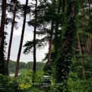 솔밭에덴하우스 이미지