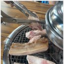 돈제주 이미지