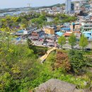 영산어린이집