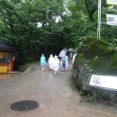 판교 통일신라~고려고분군 | 합천 해인사 고령 지산동고분군 장기리 암각화
