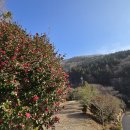 산림문화휴양관 이미지