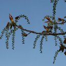 안성농장 이미지