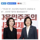 김진애 “나경원·박영선 ‘女고정관념 프로’ 출연, 낯뜨겁다” 이미지