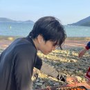 사촌마을해수욕장민박 | 여름이었다! 남해 다랭이마을 민박, 사촌해수욕장