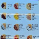 와플대학평창군청캠퍼스