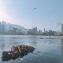 토스트앤커피하우스 이미지
