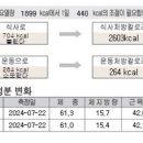 리온체온테라피 이미지