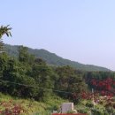 이화야영장 이미지