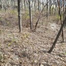 뉴한길공인중개사사무소 이미지