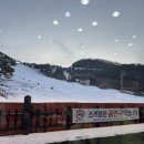 이천 지산리조트 스키장 맘스터치 내돈내산 솔직 후기